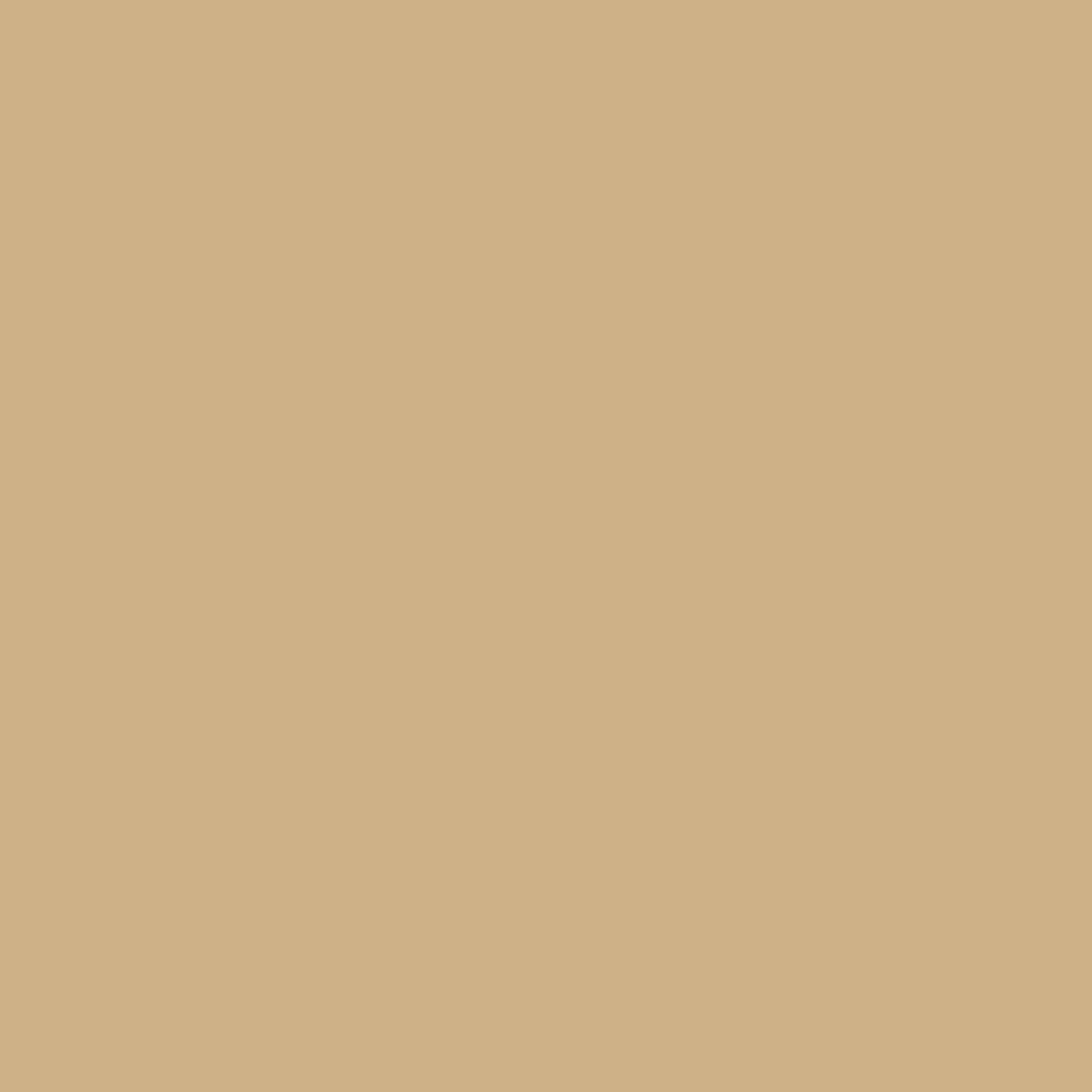 RAL 1001 Beige fenster fensterfarbe ral-aluminium ral-1001-beige texture